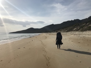 Freycinet