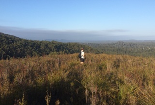 Dip Range viewscape