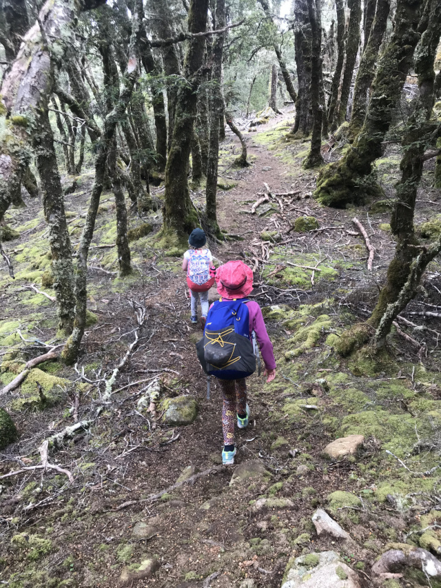 Day Walk Tassie Wilderness