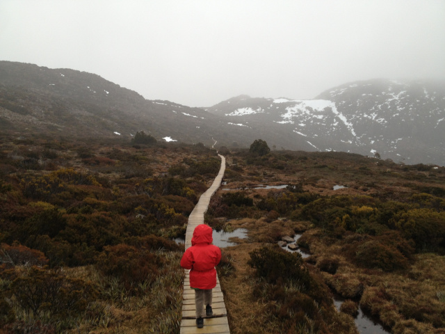 Walking in the mist Mt Field