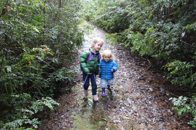 kids in takayna rainforest