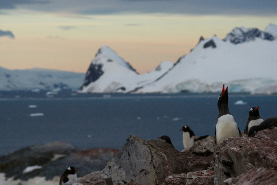 Southern Ocean and Antarctica. Image: Torsten Dederichs on Unsplash