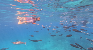 Snorkelling with fish Maldives Gus Risberg