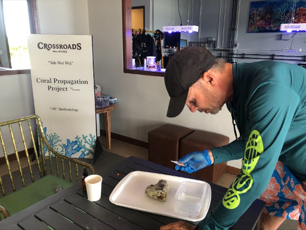Crossroads Coral Propogation project Maldives Gus Risberg