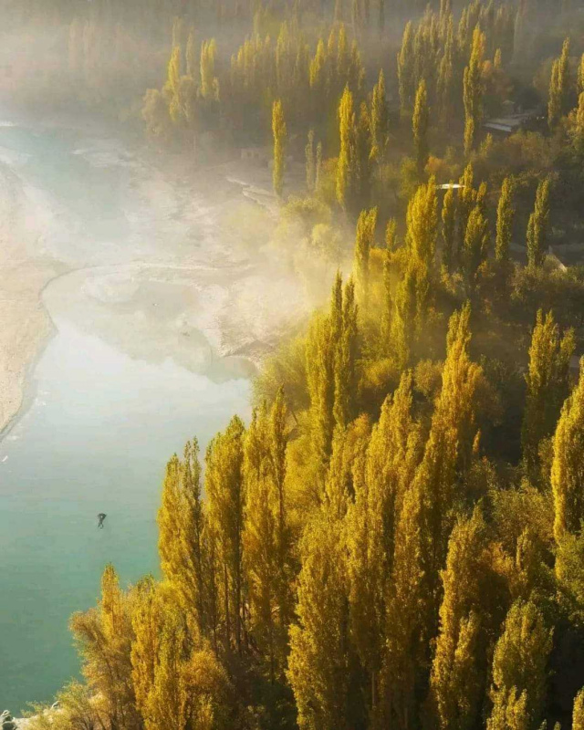Autumn colours by Lake Chitral