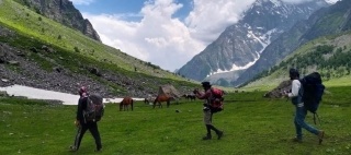 Walking in fields Laspur Trek