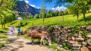 The beautiful Rupal Valley