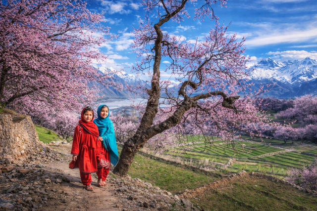 Chitral Gilgit Baltistan spring flower people