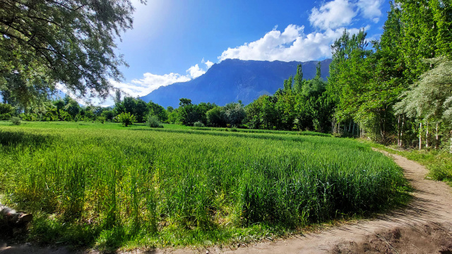 Fields with Mountain View Chitral Valley Shams Uddin