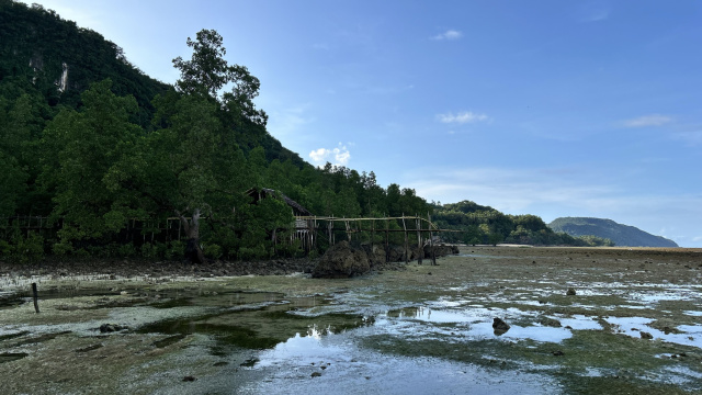 Buruanga Tidal Flat
