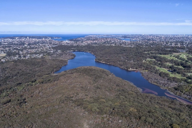 Manly Dam biodiversity project