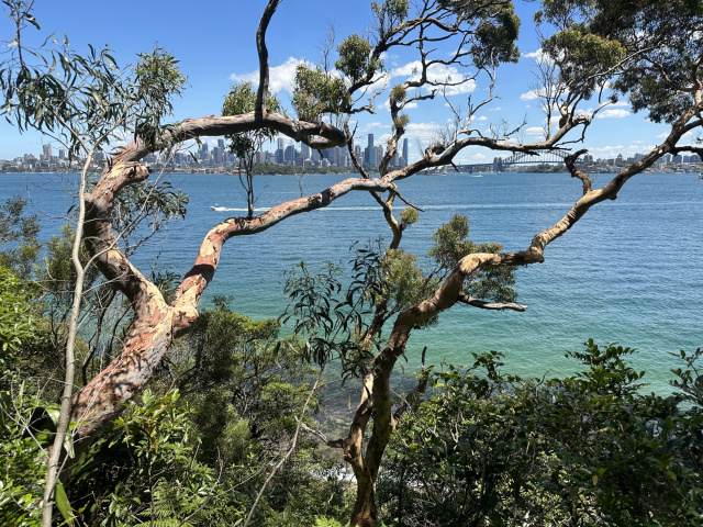 View of Sydney Harbour from Bradleys Head
