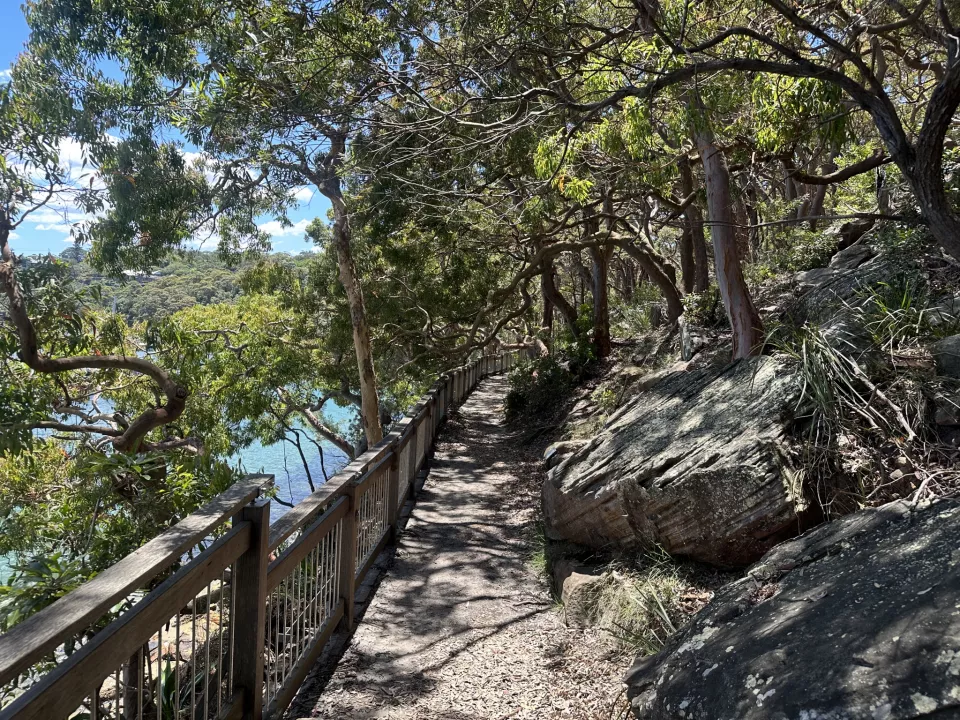 Bradleys Head Track Coast