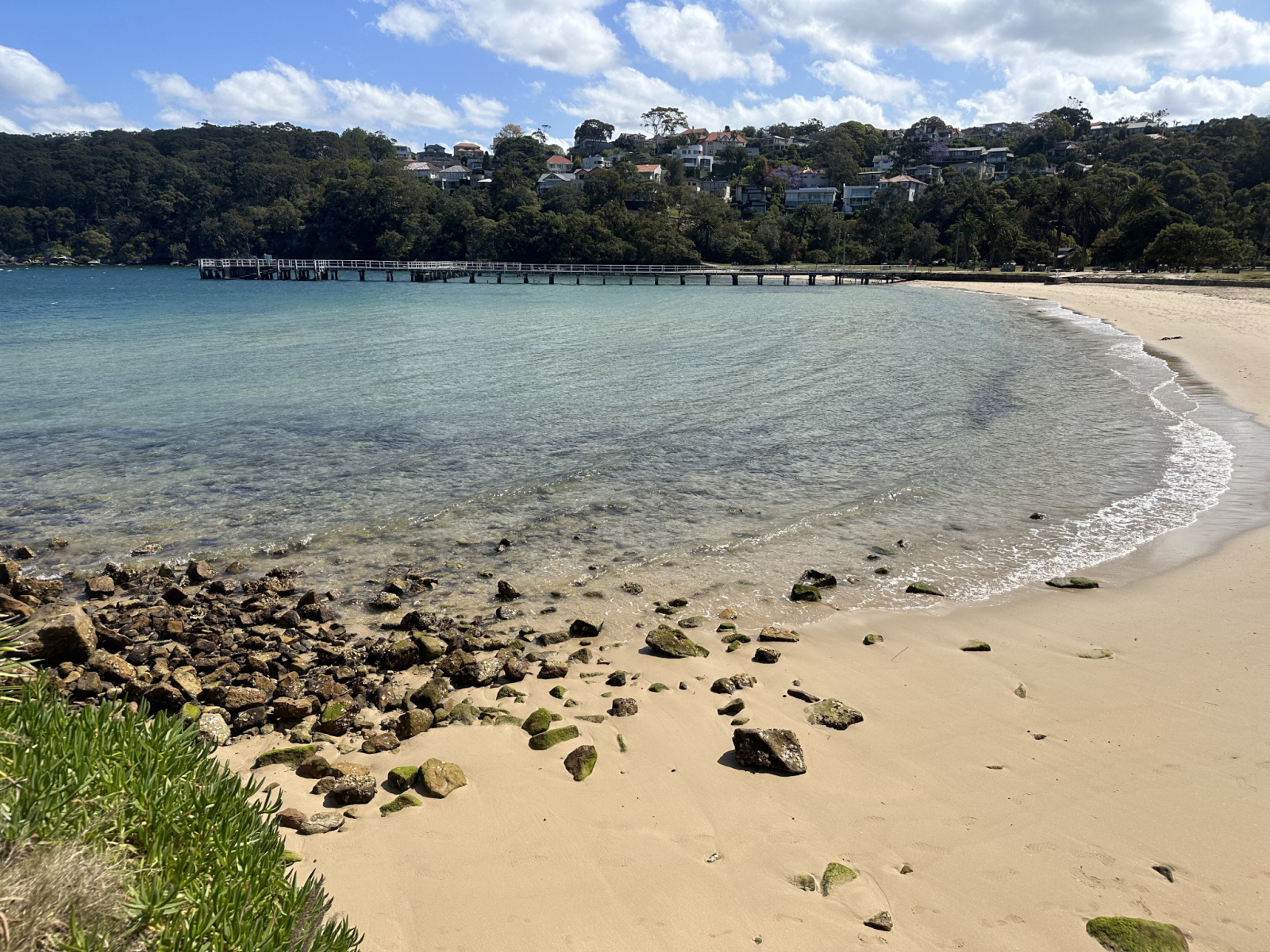 Chowder Bay Encounter with a seal in Sydney Harbour | Kuno