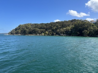 Chowder Bay Phill Pullinger