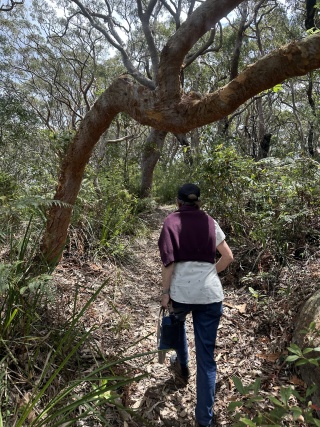 Mosman Bush