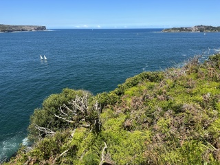 Mouth of Sydney Harbour