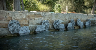 Living Seawalls Sydney Harbour SIMS