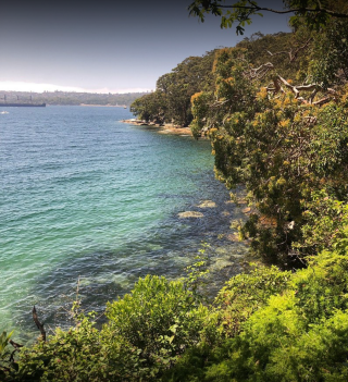Mosman placeholder