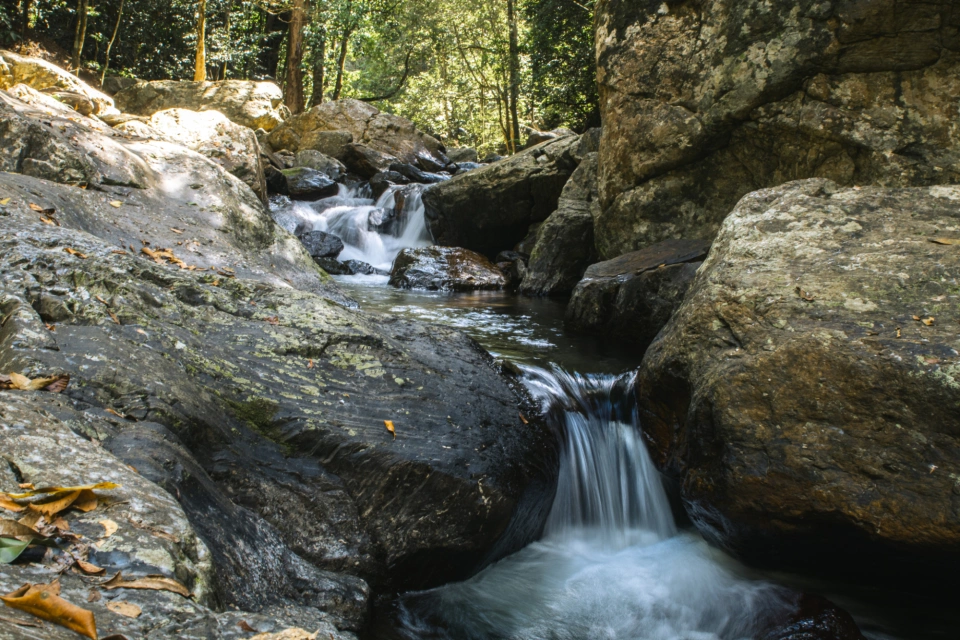 Flowing creek Tilde Bergstrom