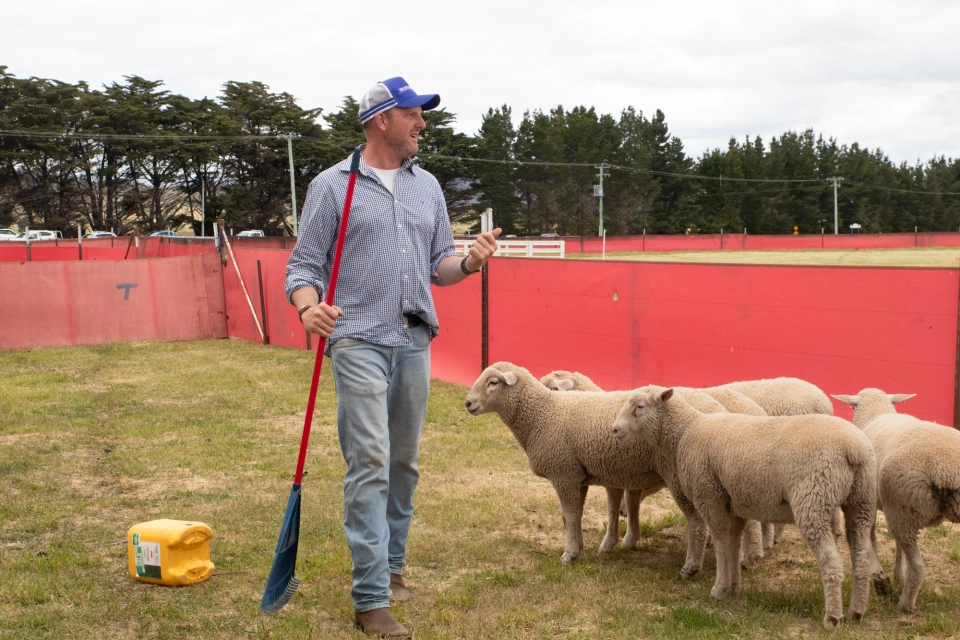 Russ Fowler Sheep Bush Fest25