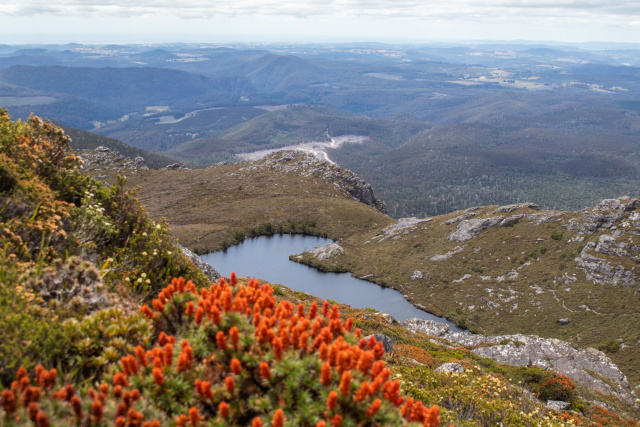 Paddys Lake, Black Bluff, by Tilde Bergstrom