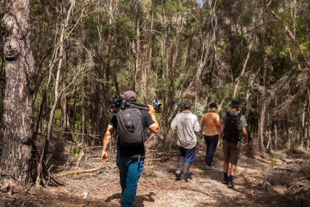 Dial Range walking 9985 by Tilde Bergstrom