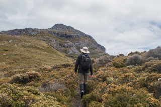 Black Bluff hiking 0463 by Tilde Bergstrom