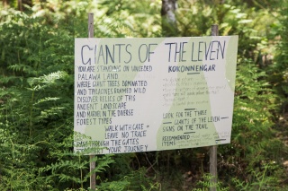 Giants of the Leven 0267 by Tilde Bergstrom