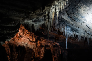 Gunns Plains Caves, photo from www.gunnsplainscaves.com.au