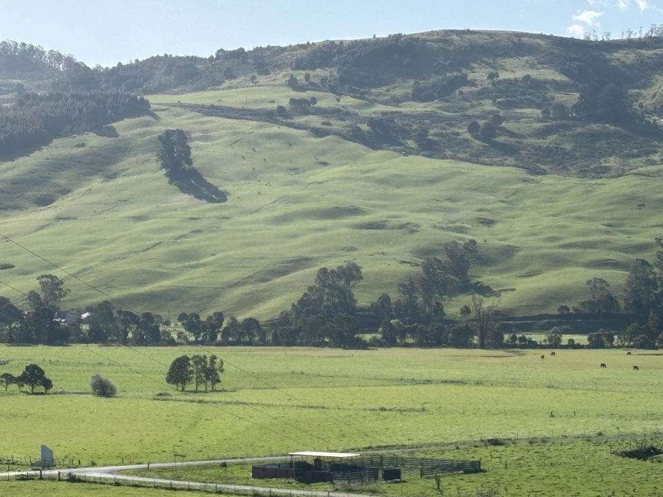Forest cleared pasture covering sinkholes in Gunbs Plains seen as dimples on the hillside