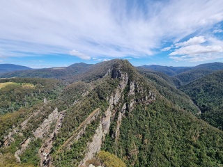 Leven Canyon by Tilde Bergstrom