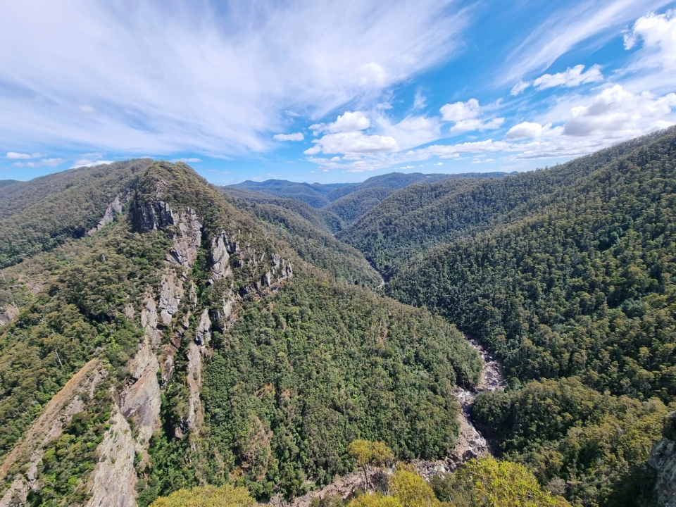 Leven Canyon 112705 by Tilde Bergstrom