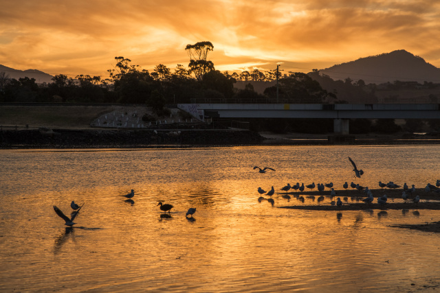 Leven River sunset 0320 by Tilde Bergstrom