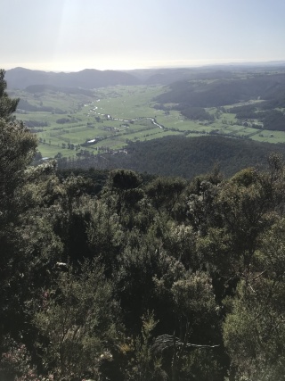 Gunns Plains from Loyetea Peak