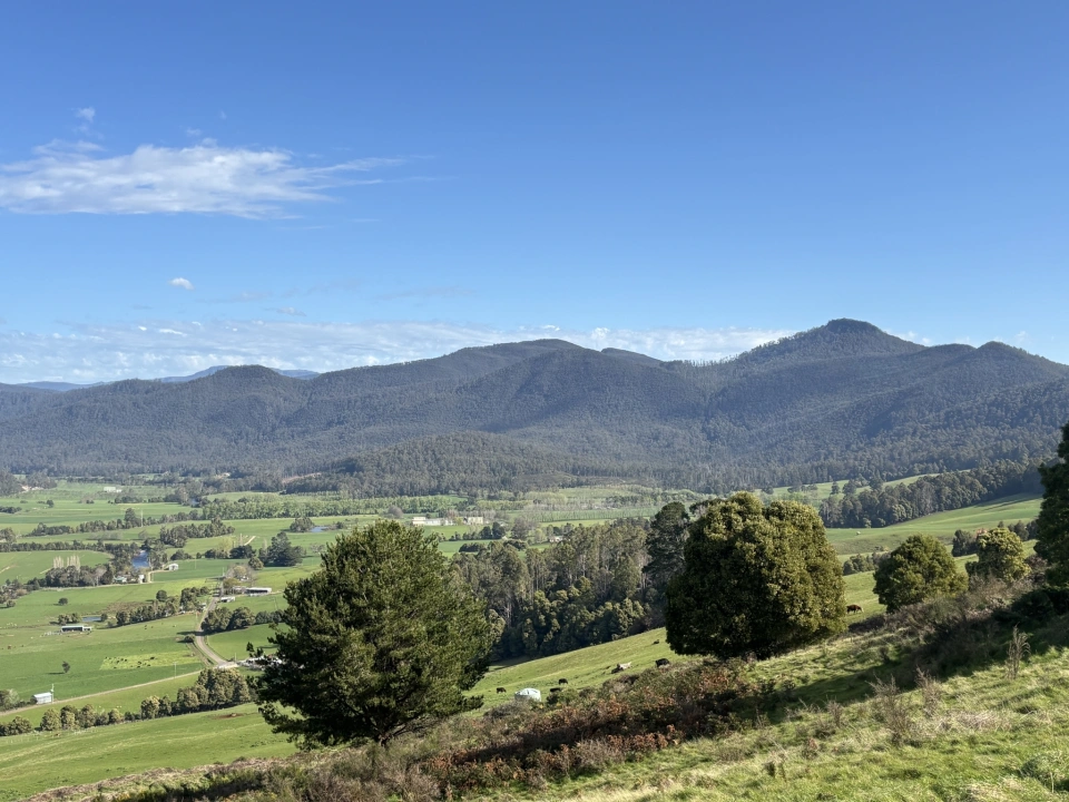 Remnant intact native Forest covered Loyerea Range