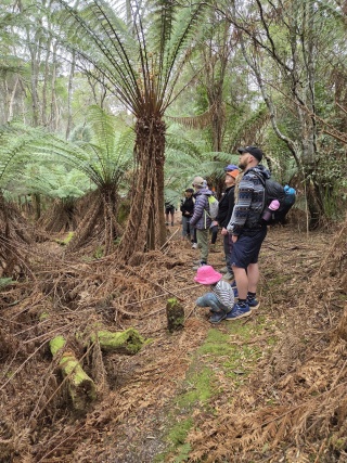 Penguin Cradle Trail Wildcare Open Day Event 1