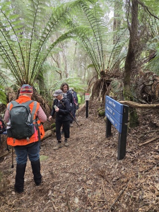 Penguin Cradle Trail Wildcare Open Day Event 2