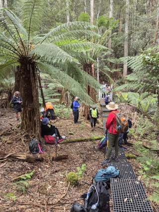 Penguin Cradle Trail Wildcare Open Day Event 3