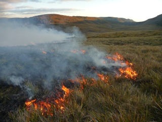 Fire management at the Vale Belvoir