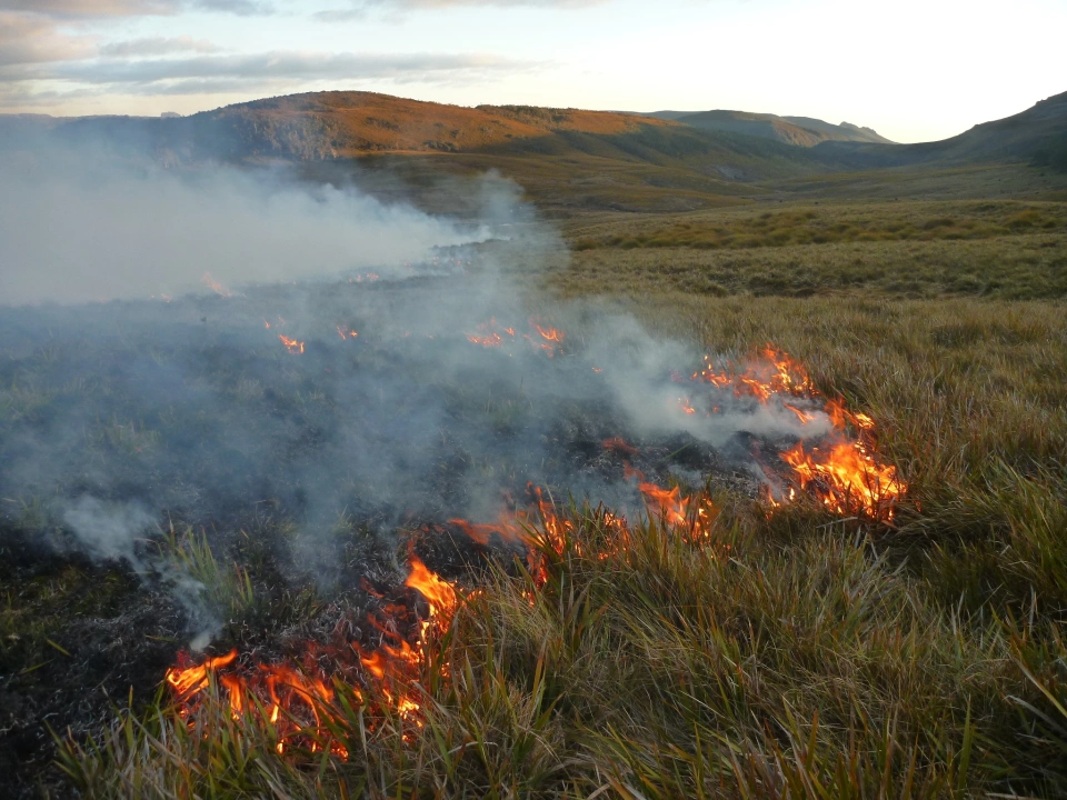 Fire management at the Vale Belvoir