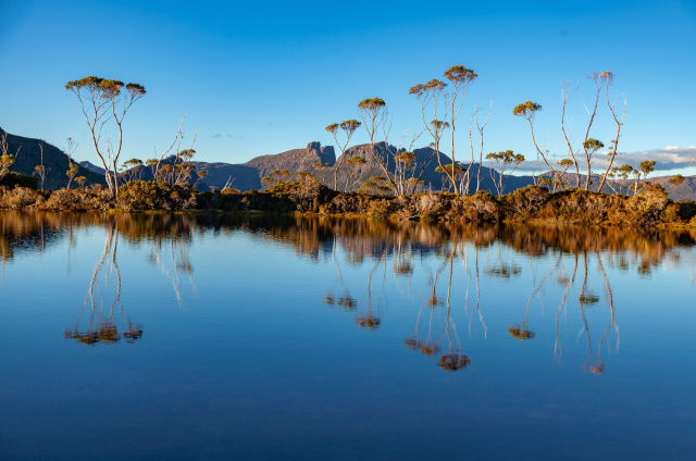 Gould Plateau Dan Broun