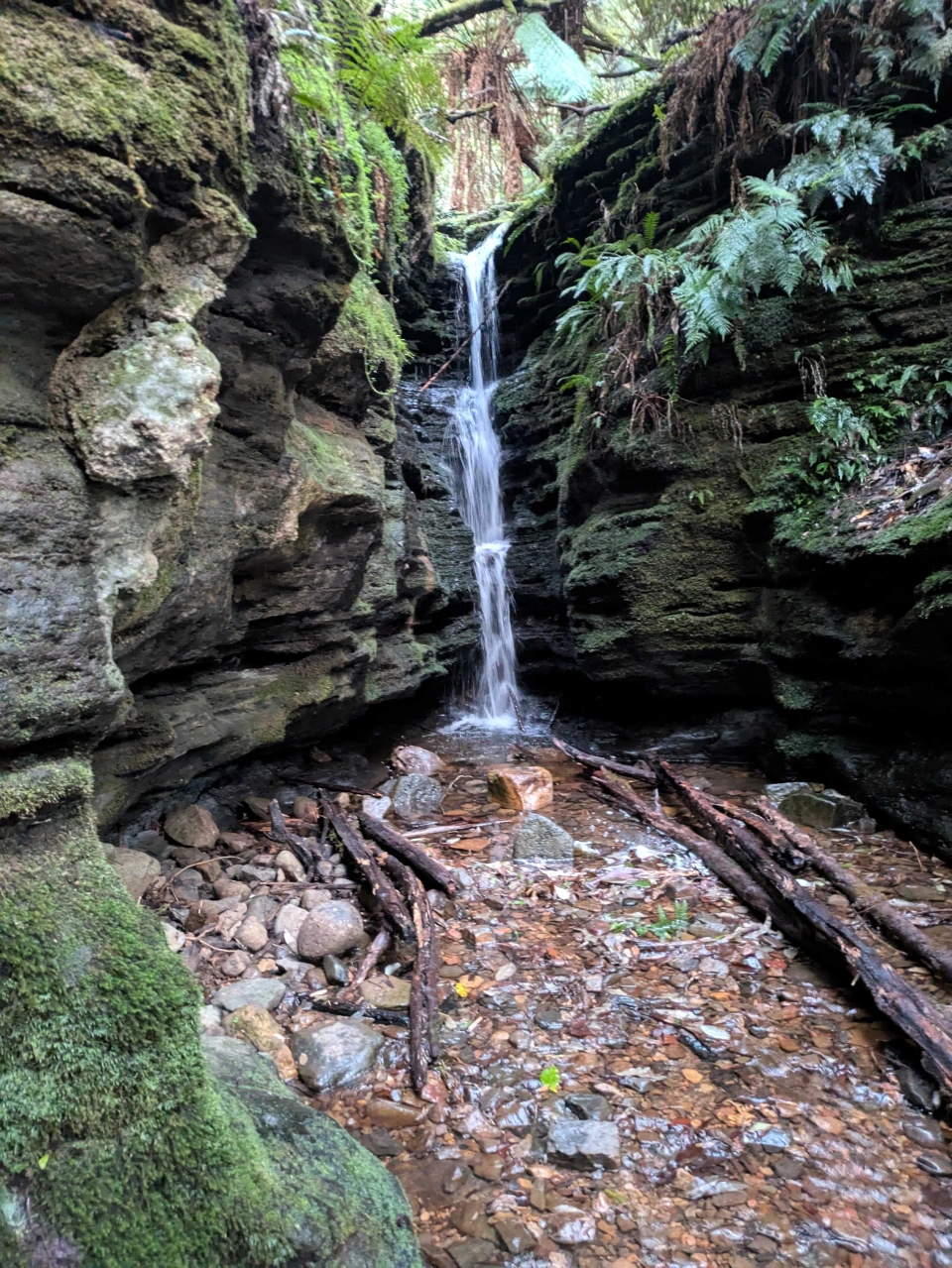 Secret Falls Myrtle Gully track med res by Helen Cushing