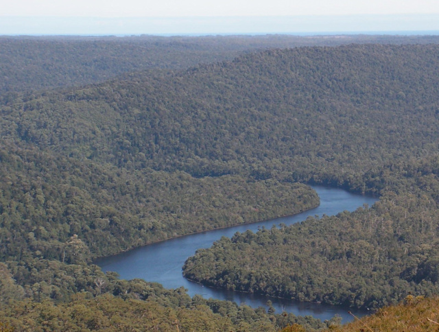 Myrtle Rainforests, Tarkine