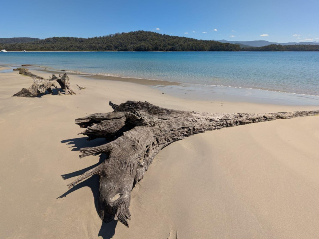 Recherche Bay Cockle Ck Helen Cushing