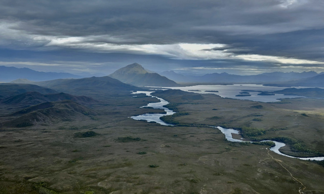 Melaleuca from Bathurst Harbour - Mischa Cushing