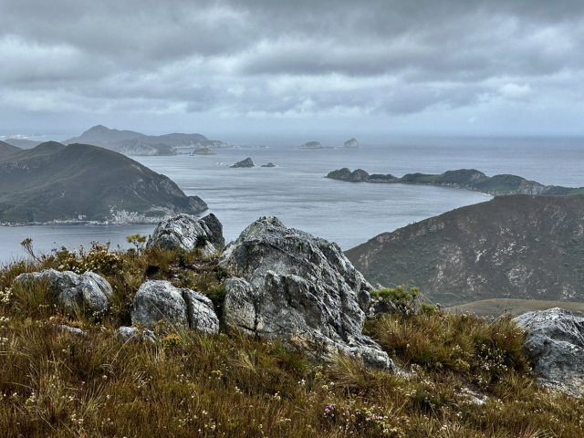 Port Davey. A. Harris