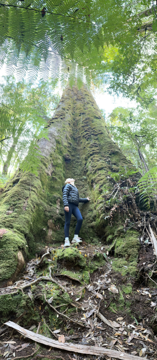 Styx Giant Phill Pullinger