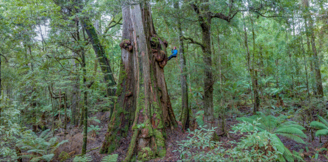 Waste Dump Rob Blakers