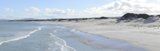 2013 12 13 Abbotsbury Beach 3